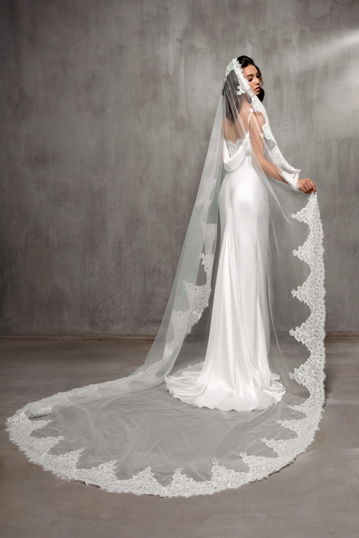 Veil VS-2020-01 - Image 3