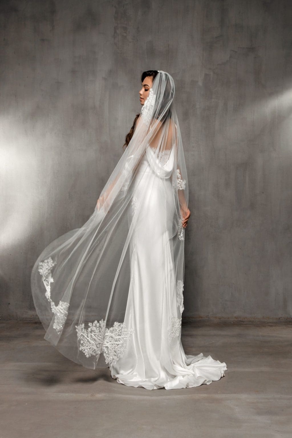 Veil VS-2020-17 - Image 2