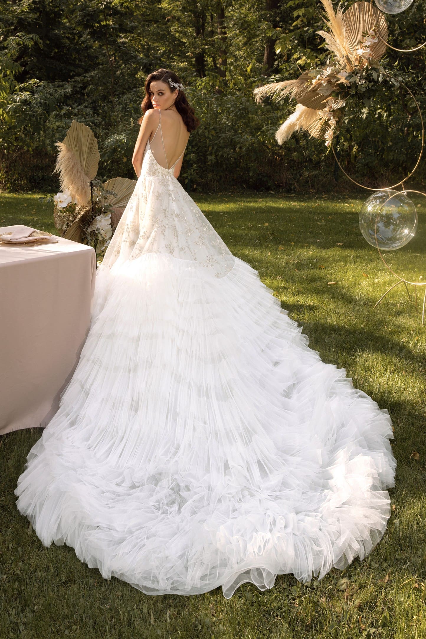 25520 Inula - Image 2