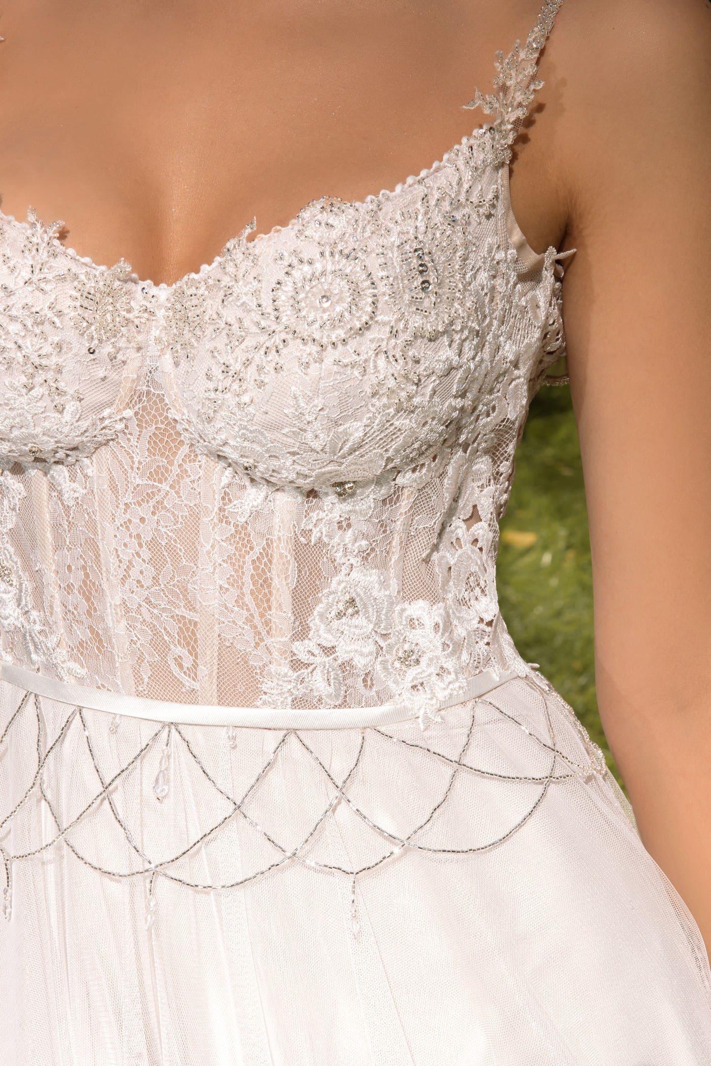 26120 Paulinia - Image 4