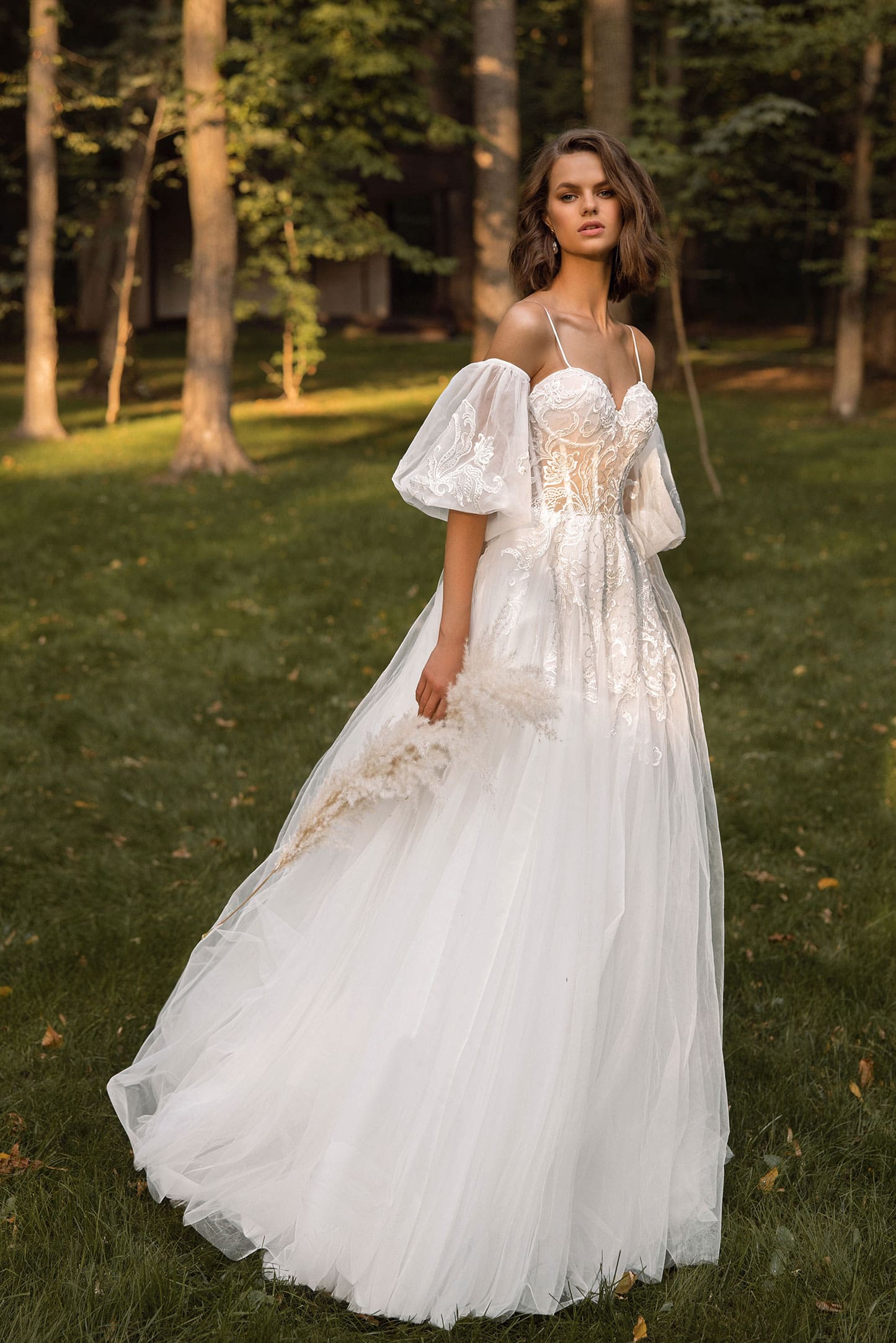 26520 Stellaria - Image 5