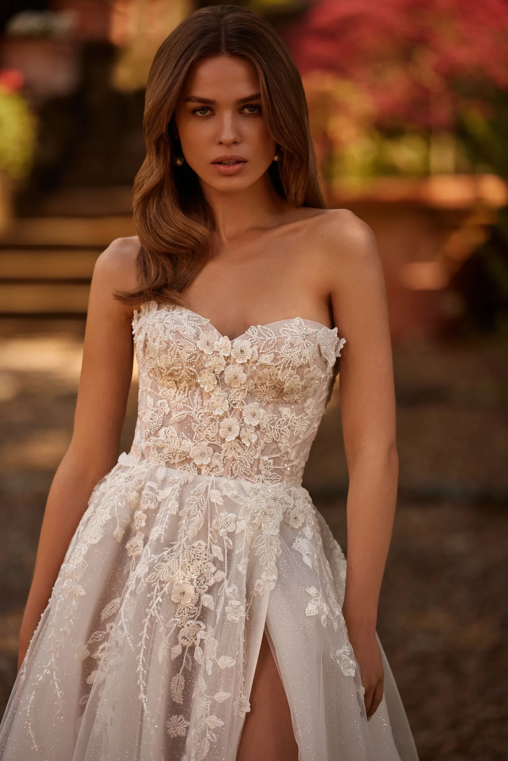 Сortaderia - Image 3