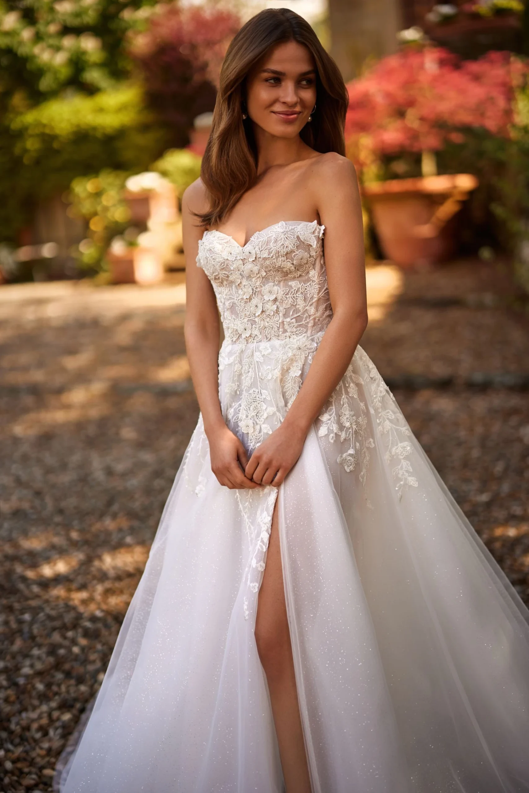 Сortaderia - Image 2