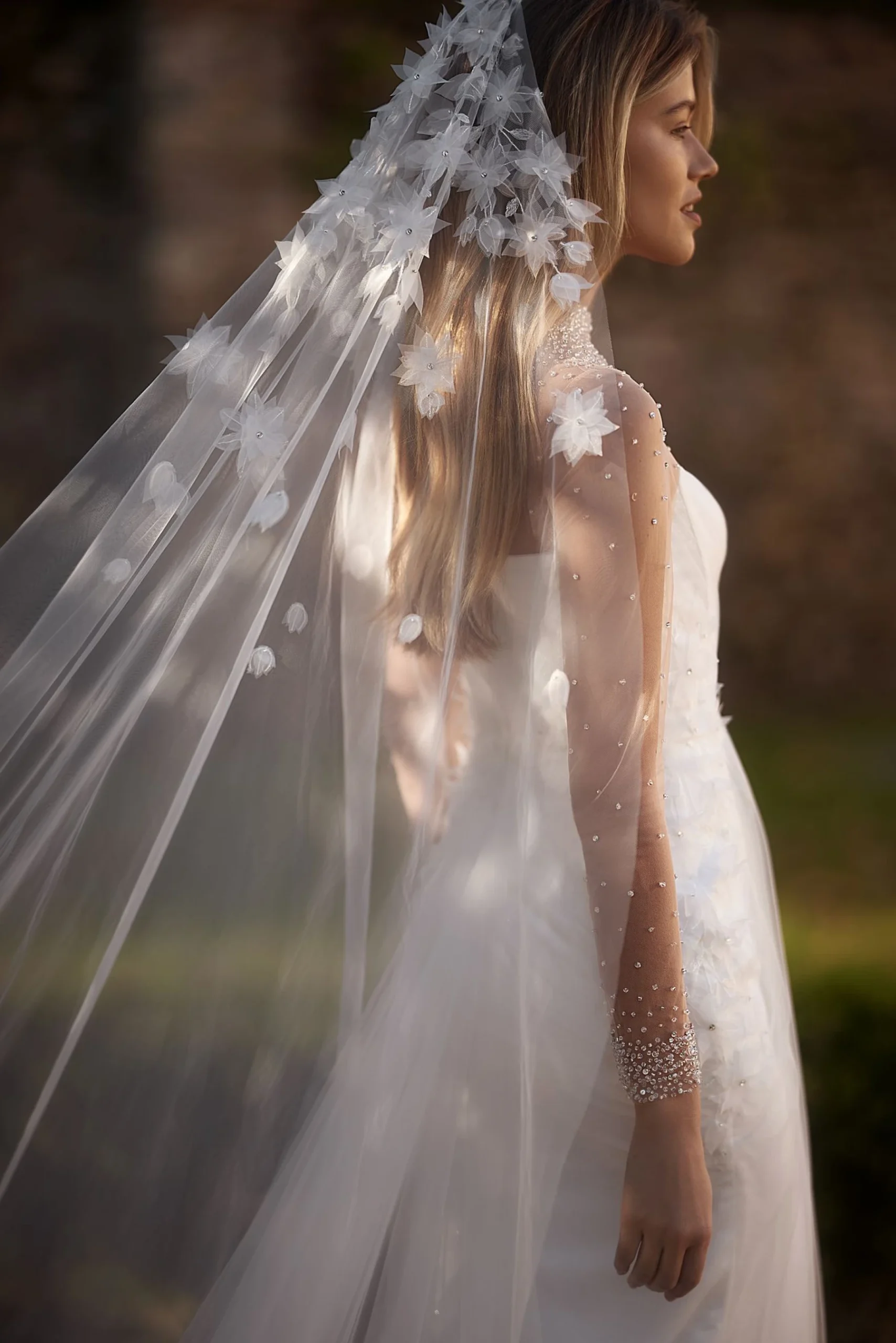 Moonlight Magic - Image 4