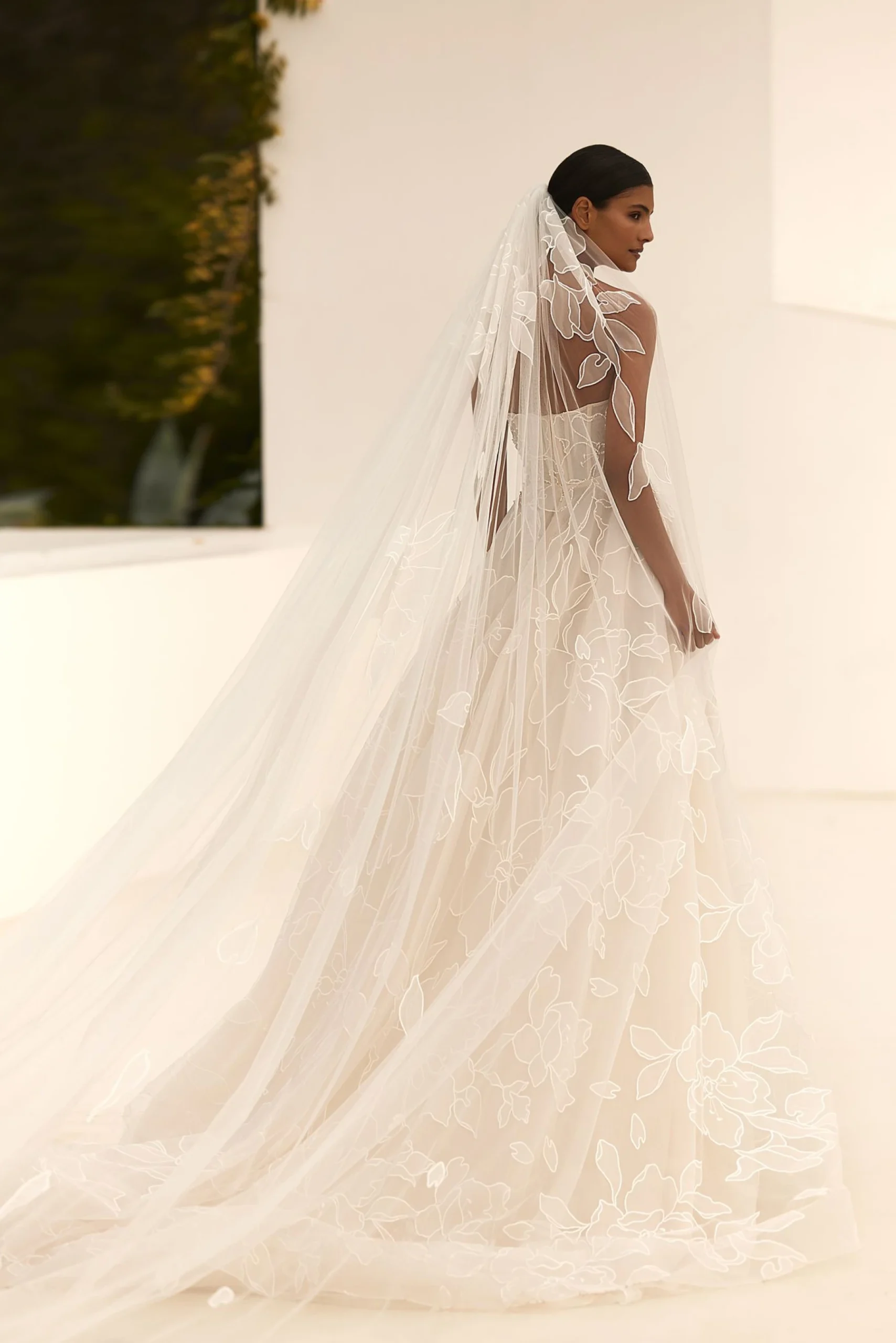 Captivate beauty - Image 4